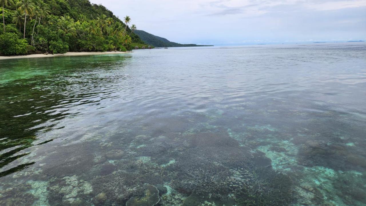 Terimakasih Homestay Pulau Mansuar Eksteriør billede