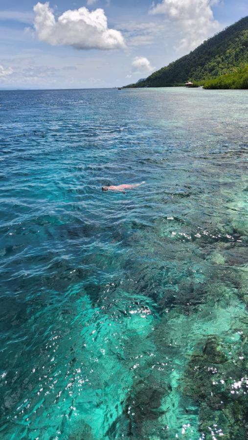 Terimakasih Homestay Pulau Mansuar Eksteriør billede