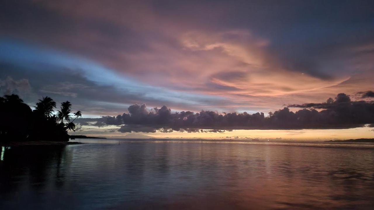 Terimakasih Homestay Pulau Mansuar Eksteriør billede