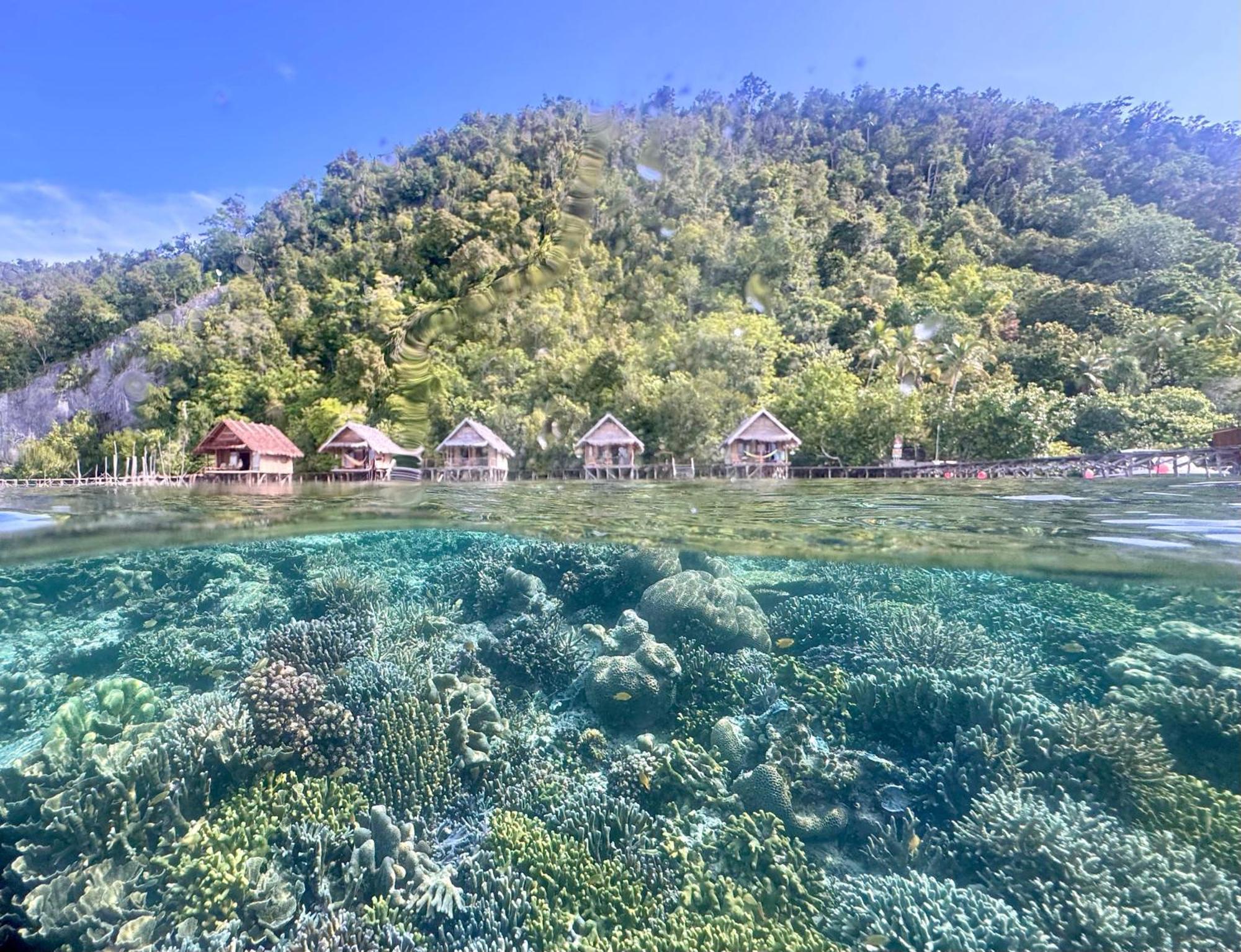 Terimakasih Homestay Pulau Mansuar Eksteriør billede