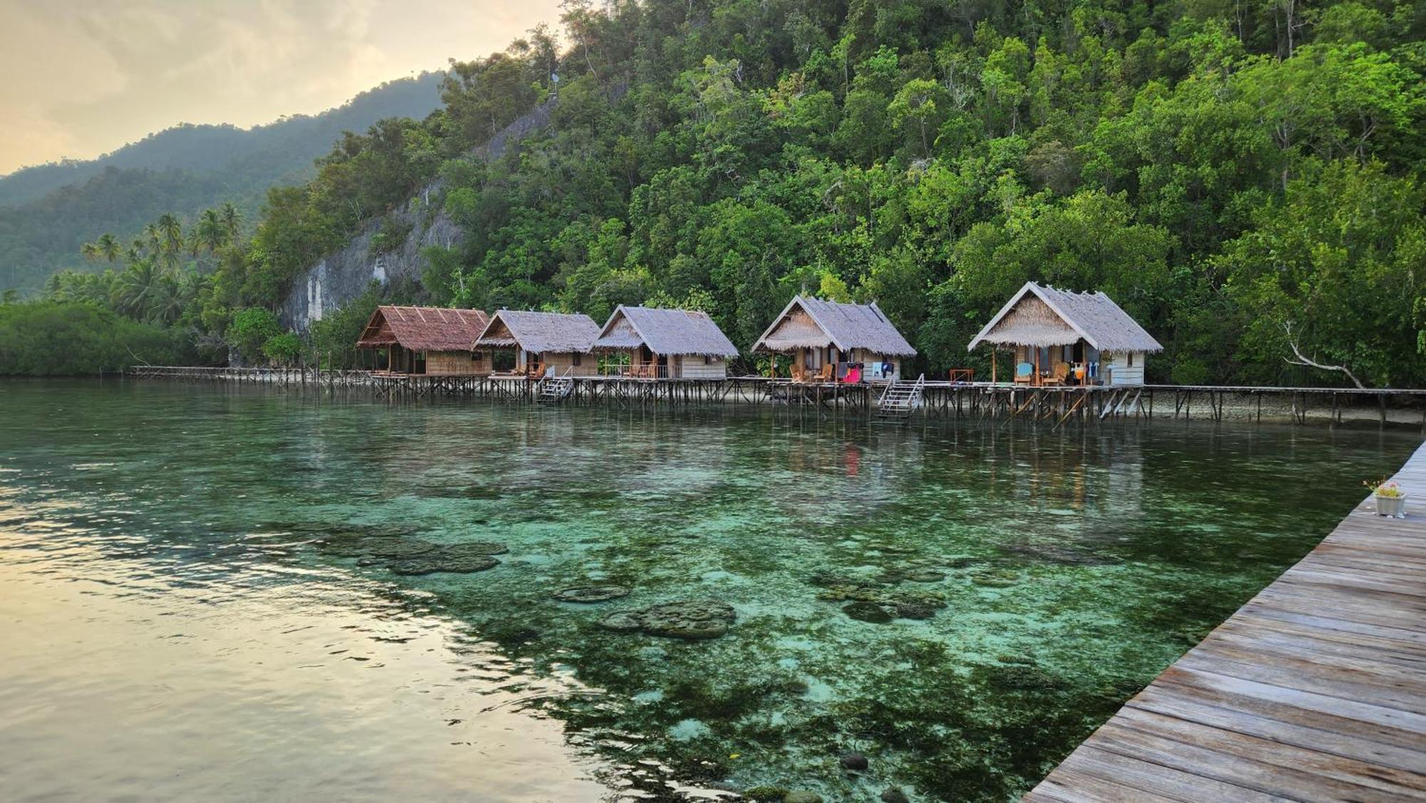 Terimakasih Homestay Pulau Mansuar Eksteriør billede