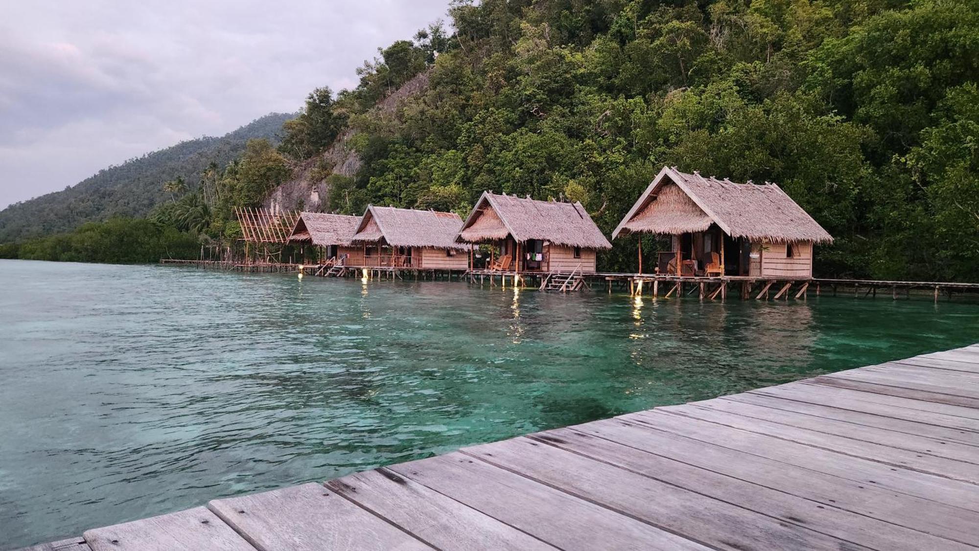 Terimakasih Homestay Pulau Mansuar Eksteriør billede