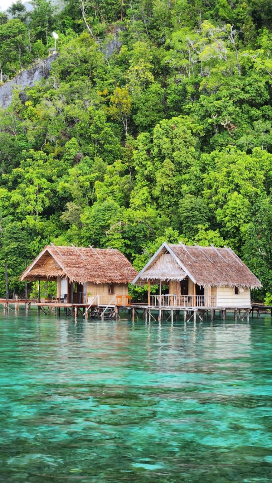 Terimakasih Homestay Pulau Mansuar Eksteriør billede