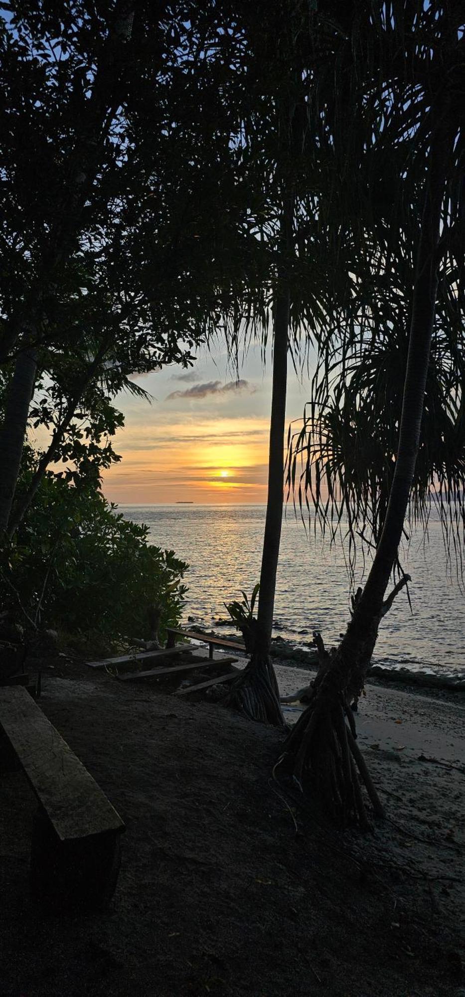 Terimakasih Homestay Pulau Mansuar Eksteriør billede